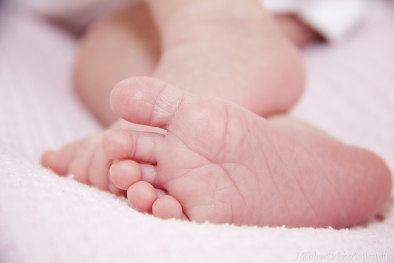newborn baby feet - newborn portraits sydney